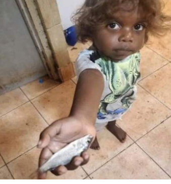 প্রবল বৃষ্টিতে আকাশ থেকে ঝরে পড়ছে অজস্র জ্যান্ত মাছ