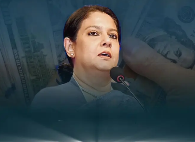 অভিযোগের মুখে সাবেক পরিবেশ উপদেষ্টা সৈয়দা রিজওয়ানা হাসান, দুদকে তদন্ত দাবি